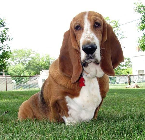 Yantzee's party picts