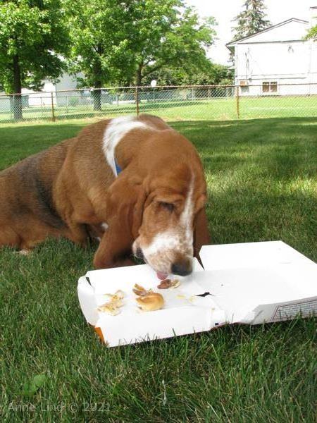 Yantzee's party picts