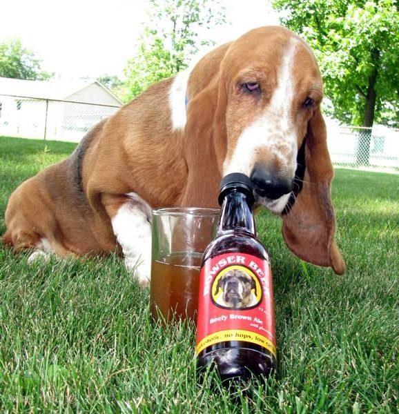 Yanztee's party picts