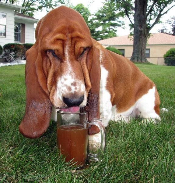 Yantzee's party picts