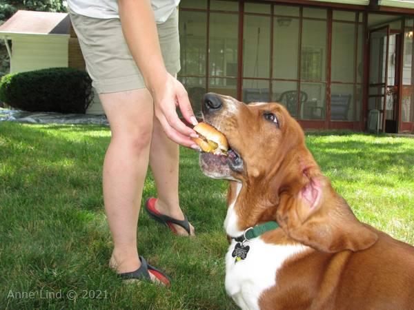 Yantzee's party picts