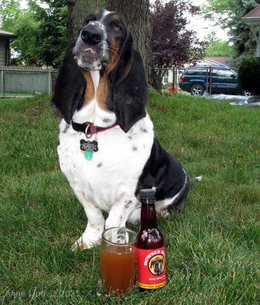 Yantzee's party picts