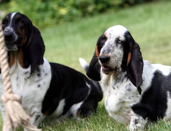 Normie and Iz playing rope