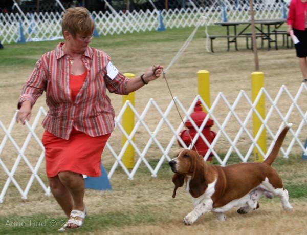 Nooge in Waukasha shows 2009