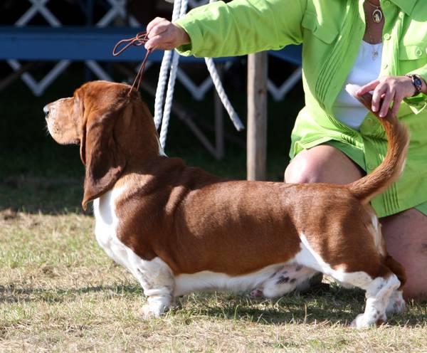 Nooge in Waukasha shows 2009