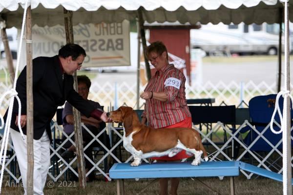 Waukasha dog shows 2009