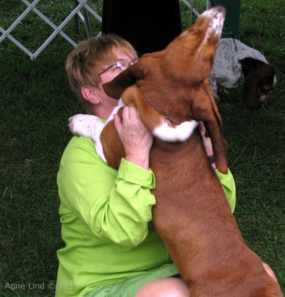 Nooge dog shows