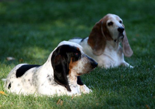 Gretchen and Isabella taking it easy