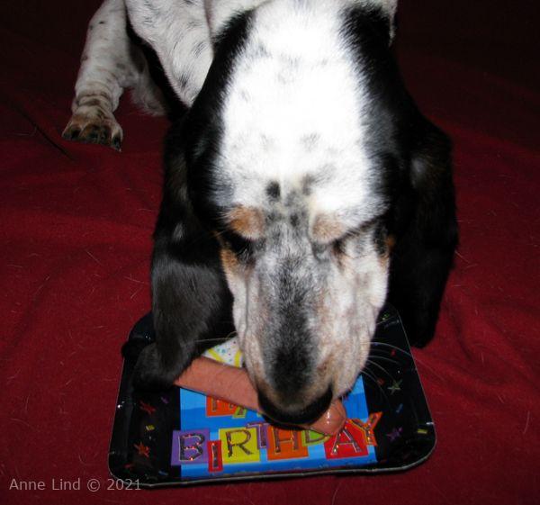 Isabella's first birthday