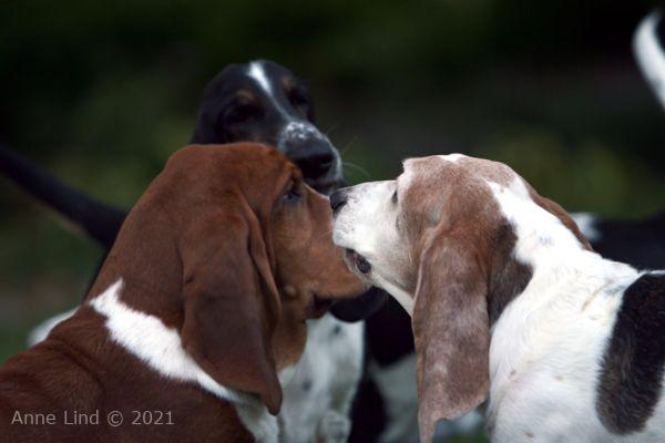 Norm, Nooge and Gretch