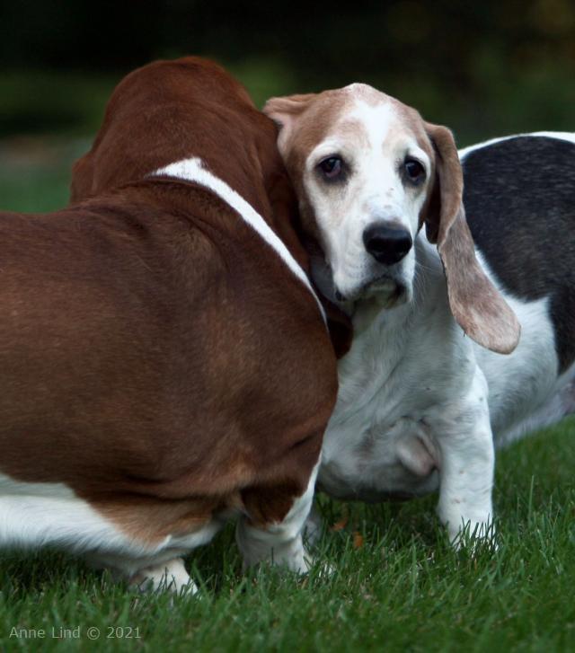 Nooge and Gretch flirt