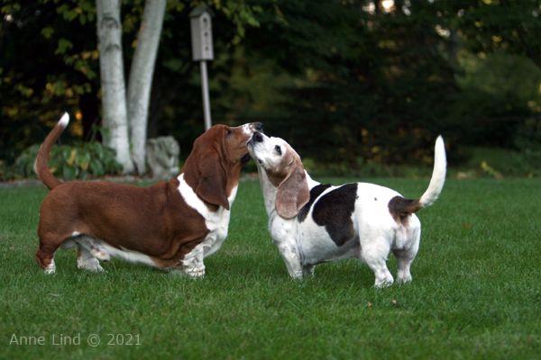 Nooge and Gretch flirt