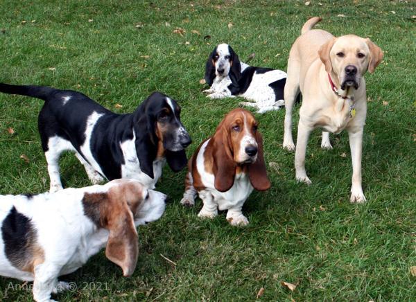 Charlie and the quad