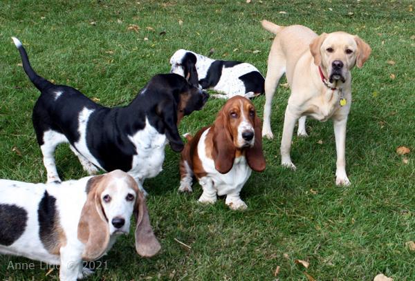 Charlie and the quad