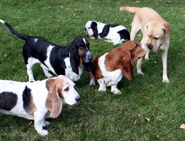 Charlie and the quad