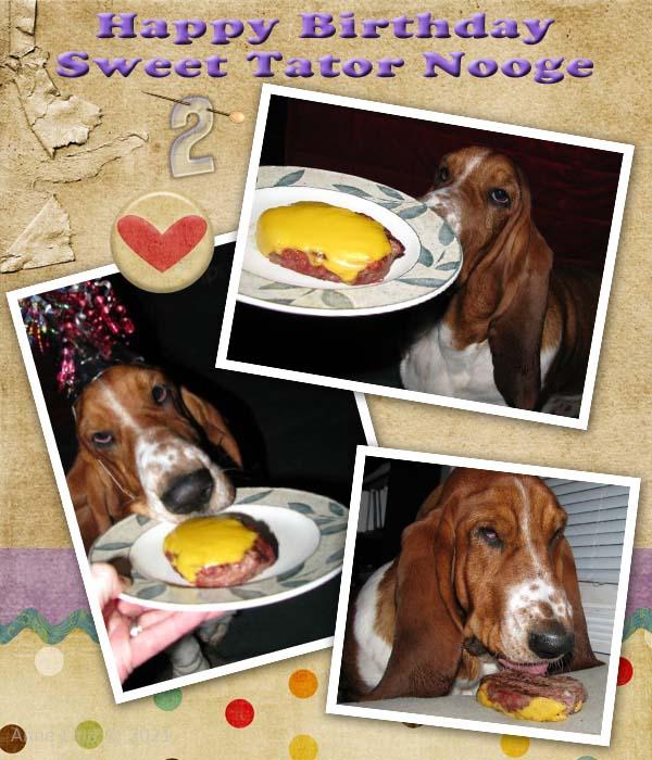 Nooge's 2nd birthday