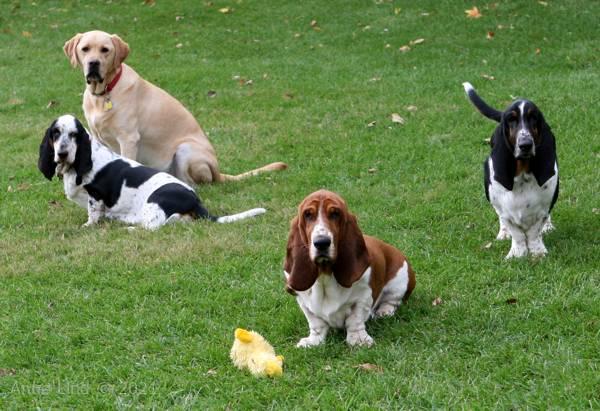 Charlie, Iz, Norm and Nooge