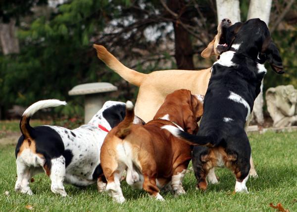 Charlie comes for a play visit