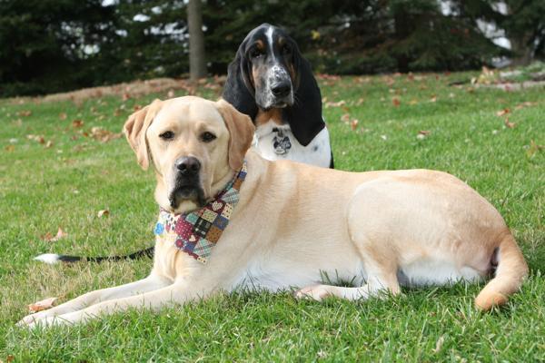 Charlie comes for a play visit