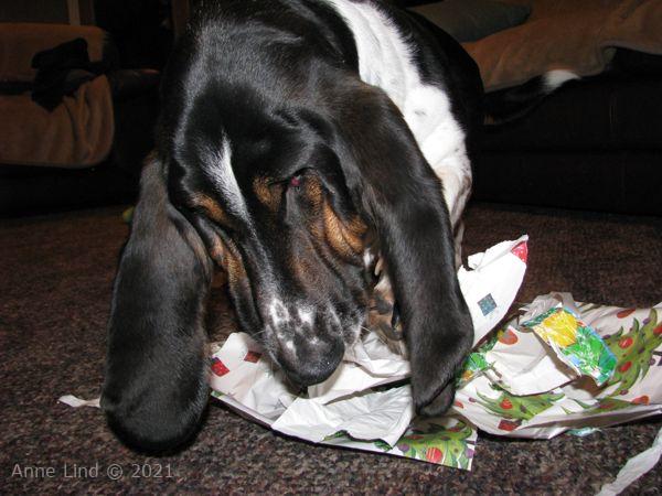 Norm and his wrapping paper