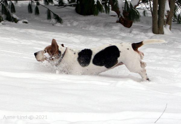 Gretchen booking it in the snow