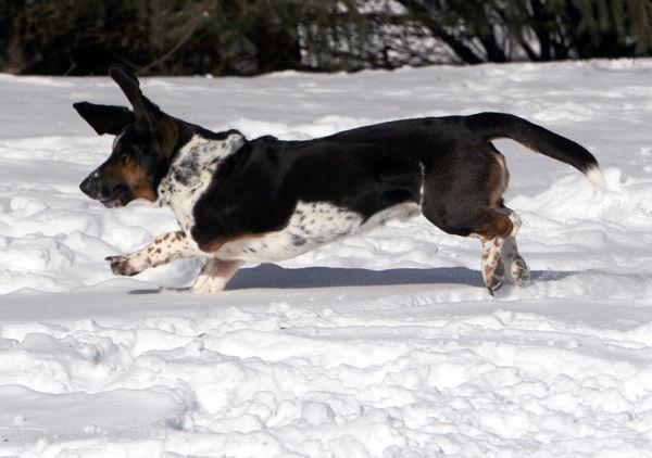 norm running