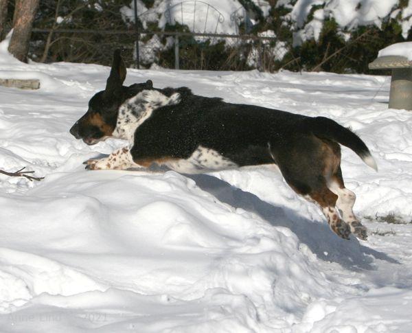 norm runing