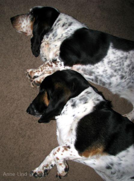 norm and izzi sleeping