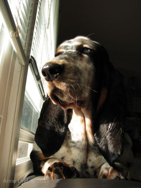 Izzi enjoying sunrise