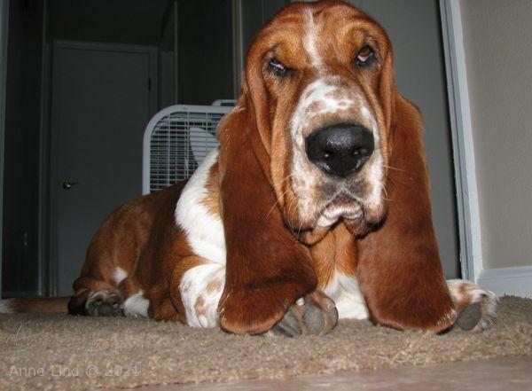 nooge sporting some paint