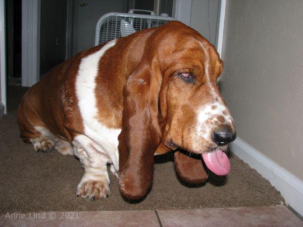 nooge sporting some paint