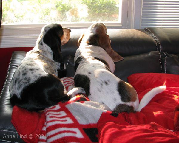 Gretchen and Isabella