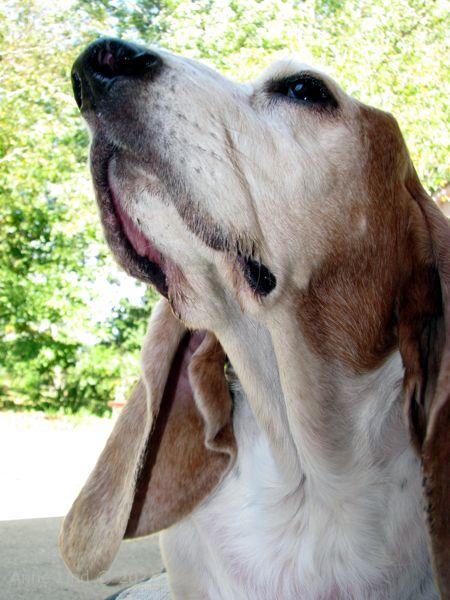 Gretchen ignoring me