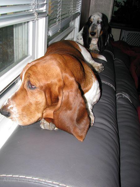 nooge and iz on sofa