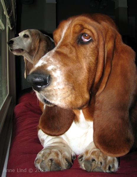 Gretchen and Noogers