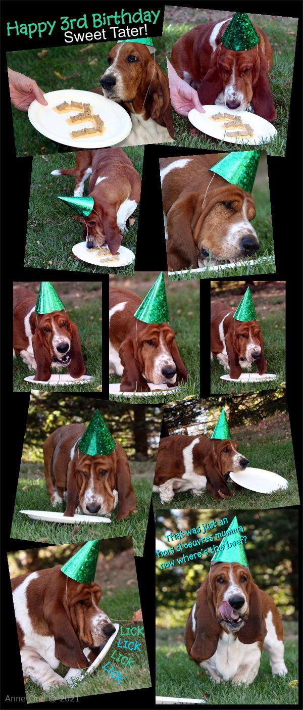 Nooge's 3rd Birthday