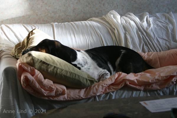 Norman at nationals in hotel