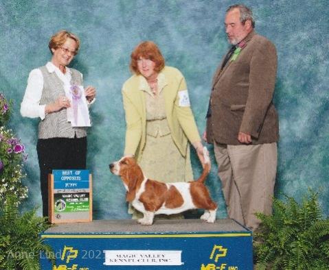 Nougat's 1st dog show