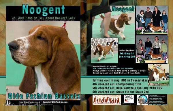 Noogent's Tally-Ho ad 2011