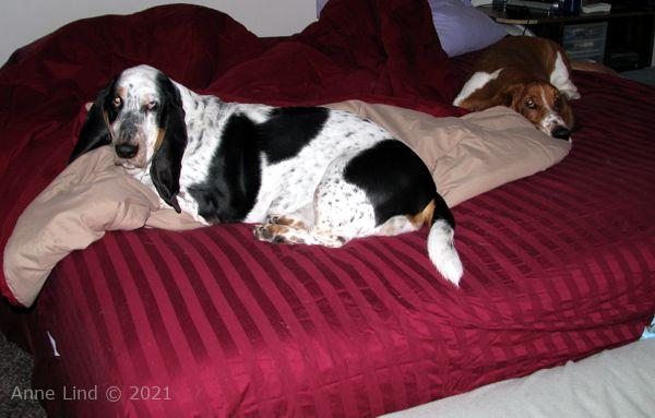 changing bed helpers