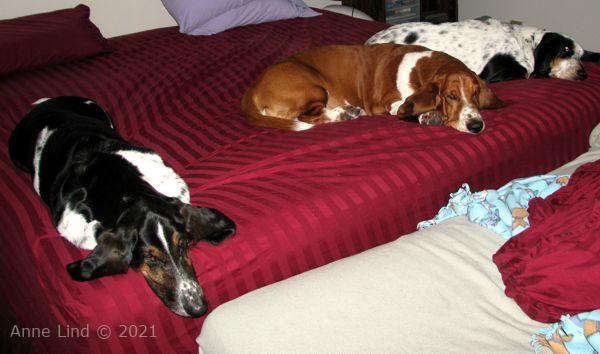 changing bed helpers
