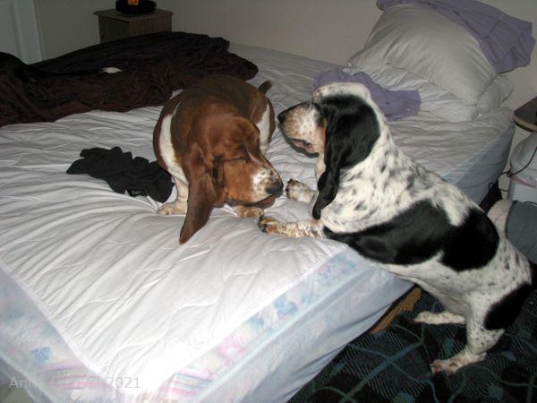 changing bed helpers
