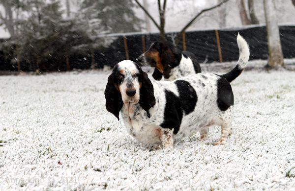 Isabella and Norm in first 2012 snowfall