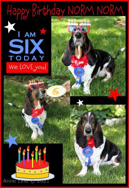 Noprm's 6th Birthday