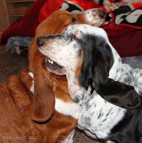 Nooge and Izzi wrestling