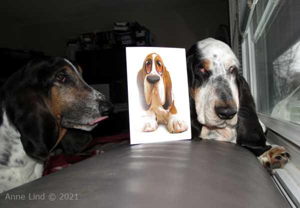 Izzi and her get well card from Auntie M