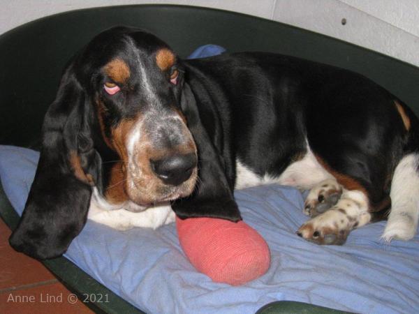 THriller with a broken toe