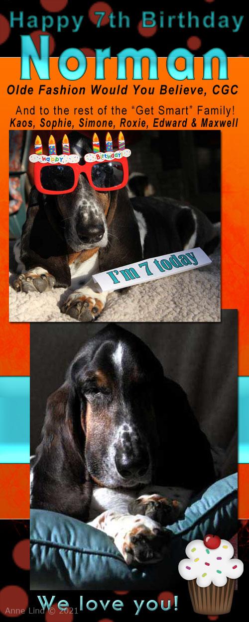 Norman's 7th birthday