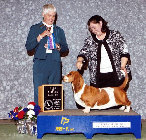 Nougat's first major