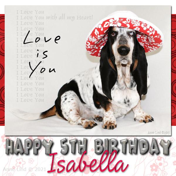 Isabella's 5th Birthday